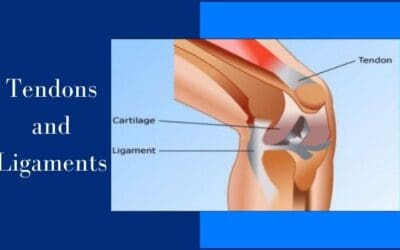 Ultimate Guide to Ligament and Tendon Strengthening