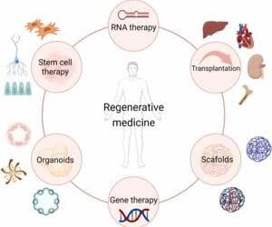 Regenerative Medicine Advancements: Transforming Healthcare