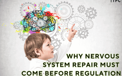 Why Nervous System Repair Must Come Before Regulation