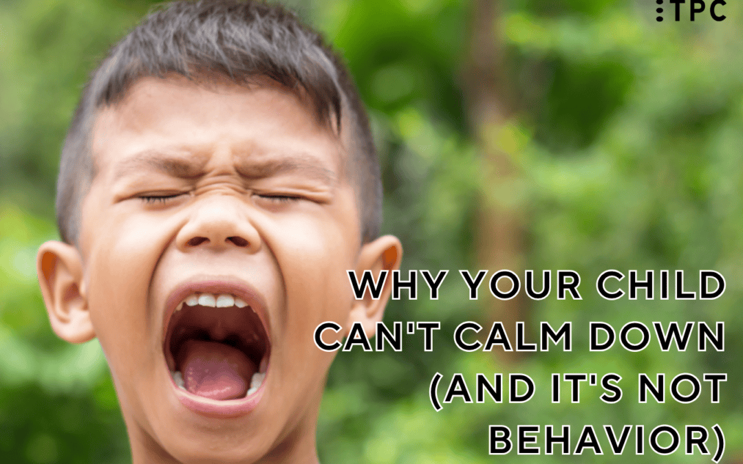Why Your Child Can’t Calm Down (And It’s Not Behavior)
